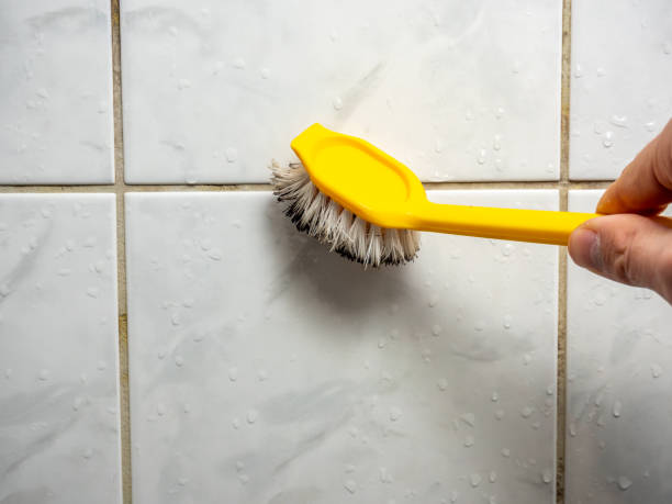 Best Attic Mold Removal  in Redding, CA