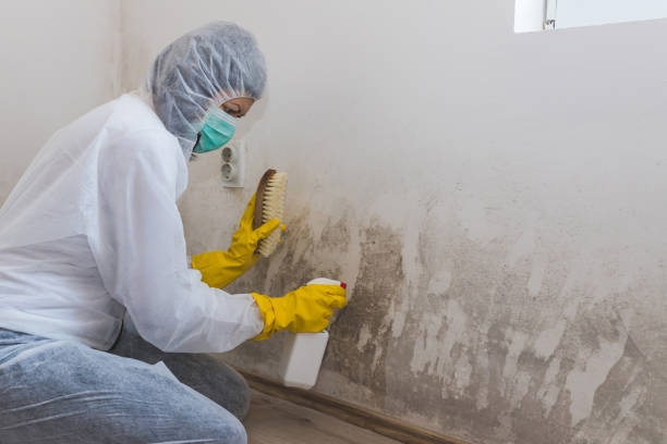 Best Mold Testing  in Redding, CA