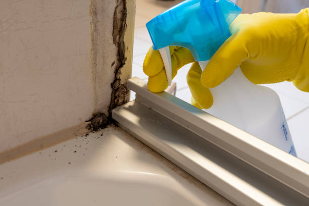 Best Mold Testing  in Redding, CA