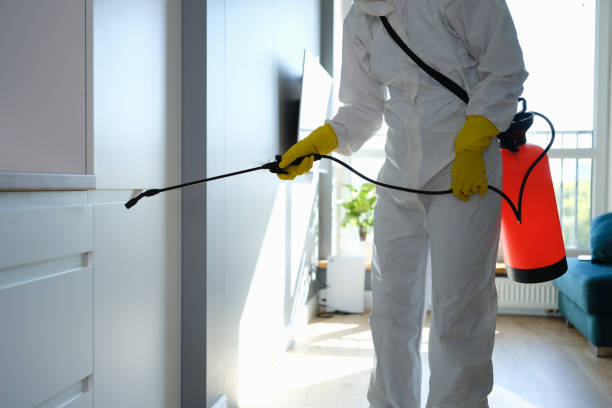 Best Home Mold Removal  in Redding, CA