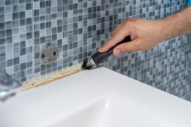 Best Fast Mold Removal  in Redding, CA