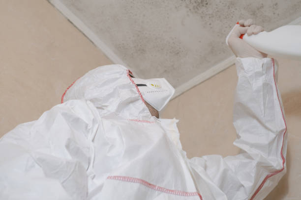 Best Emergency Mold Removal  in Redding, CA