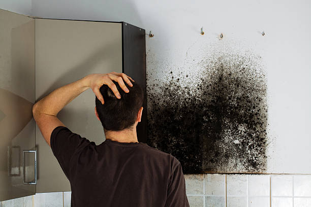 Best Commercial Mold Removal  in Redding, CA